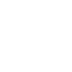 realtor logo transparent.png